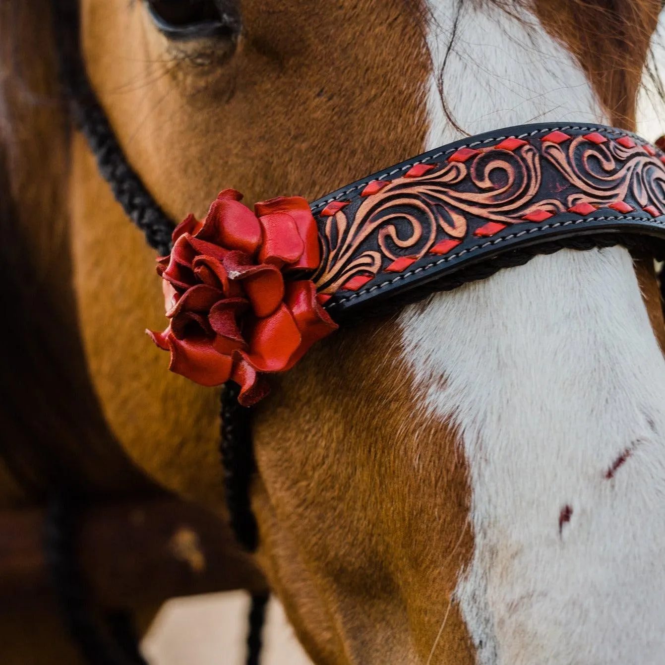 Black Mule Tape Halter - Red Rose #MT200