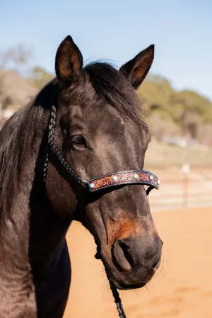 Black Mule Tape Halter -Turquoise Cabochon #MT226
