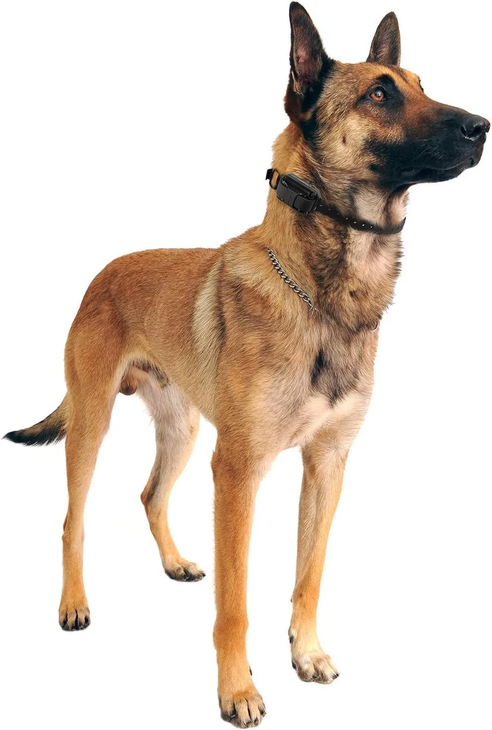 Educator CPAD-006 Dog Training Collar Receiver Comfort Pad, Improves Contact, Reduces Irritation and Skin Sensitivities, for Barkless Pro, Long Hair