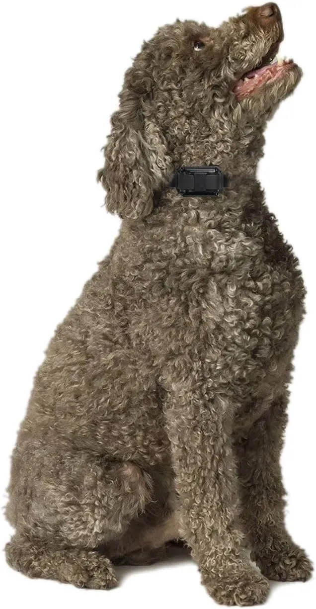 Educator CPAD-006 Dog Training Collar Receiver Comfort Pad, Improves Contact, Reduces Irritation and Skin Sensitivities, for Barkless Pro, Long Hair