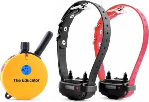 Educator E-Collar Humane Dog Training Collar with Remote, 100 Safe Tapping Stimulation Levels, Night Light, Waterproof, Rechargeable, 3/4 Mile 2 Small-Medium Dogs, Yellow