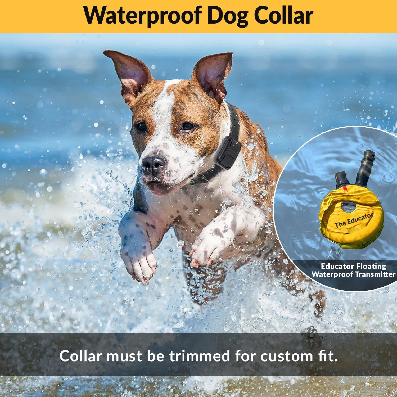 Educator E-Collar Humane Dog Training Collar with Remote, 100 Safe Tapping Stimulation Levels, Night Light, Waterproof, Rechargeable, 3/4 Mile 2 Small-Medium Dogs, Yellow