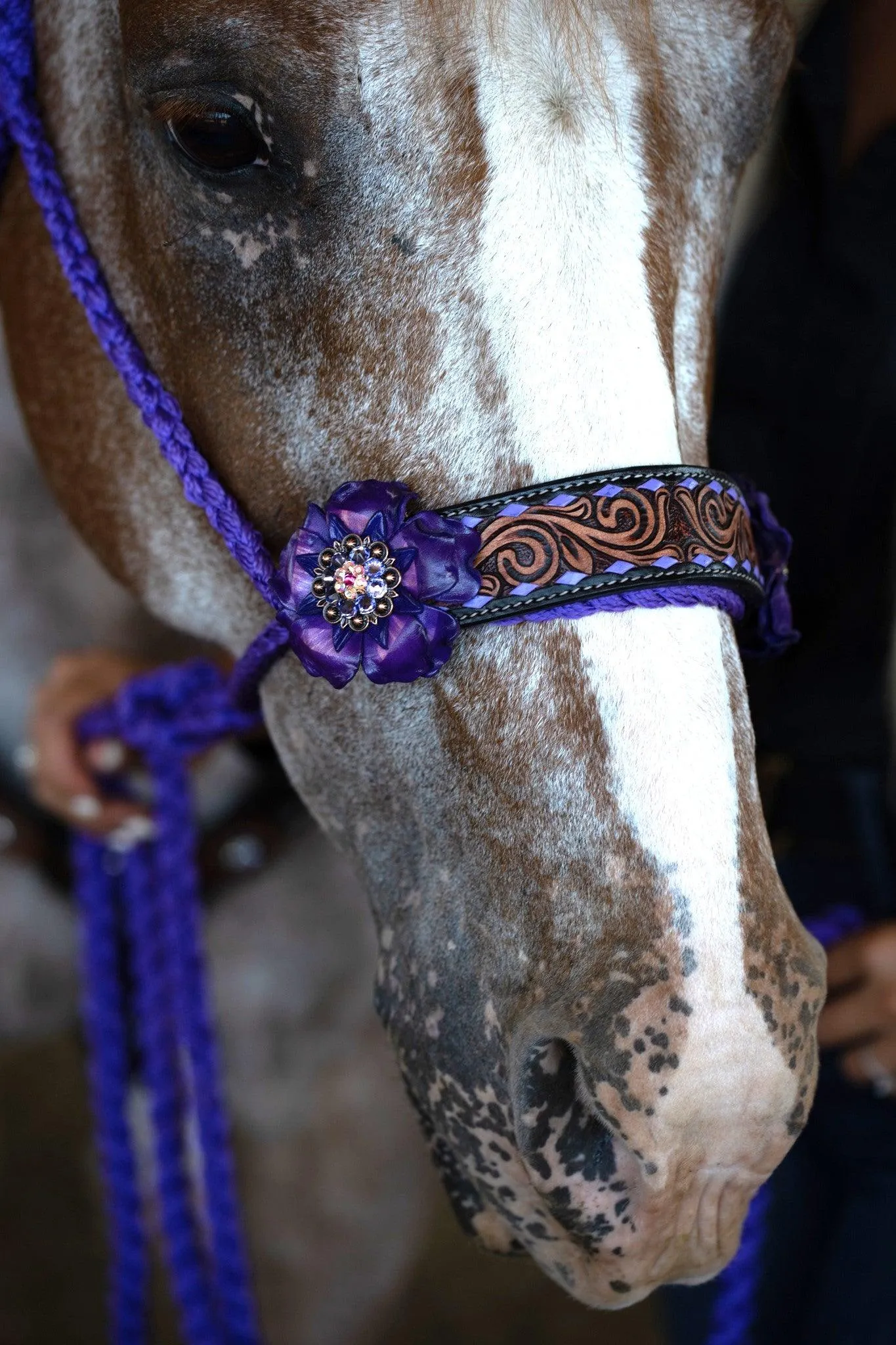 Purple Mule Tape Halter - Purple Gardenia #MT207